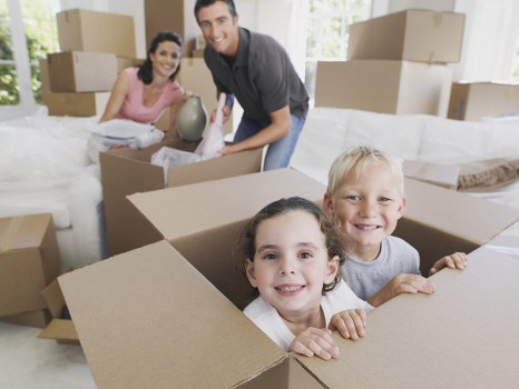 Professional packing supplies and organised moving boxes in a Belsize Park home