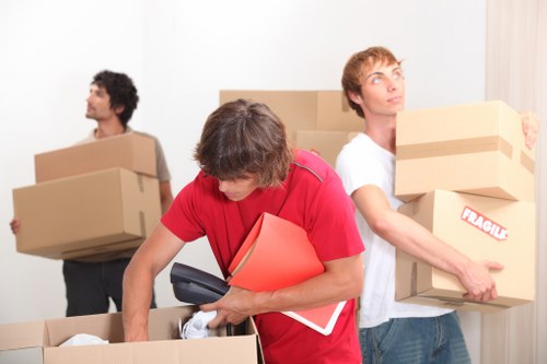 Professional movers handling boxes and fragile items locally