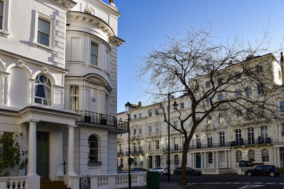 The image shows a street scene in Belsize Park with elegant white Victorian-style terraced houses featuring decorative cornices and bay windows, set against a clear blue sky. A leafless tree with sprawling branches is positioned near the curb, casting shadows on the pavement. Parked cars line the street, and a black lamp post stands along the sidewalk. The photograph captures the quiet residential area during daytime, emphasizing the architecture typical of high-end London neighbourhoods. This setting is relevant to home relocation or furniture transport services provided by Man with Van Belsize Park, as it illustrates the type of environment where professional removals may operate, including the loading process with vans parked nearby, ready for packing and moving furniture and boxes in preparation for a move within NW3 postcode area.