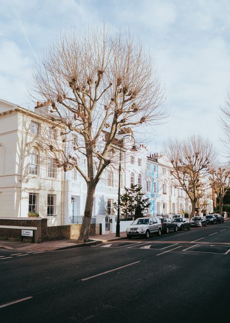 A row of three-storey residential buildings with white facades and large windows in Belsize Park, NW3, showing a quiet street scene with parked cars along the curb and leafless trees lining the pavement. The trees have no leaves, indicating a winter season, and are situated in front of the properties, with one tree prominently in the foreground. The sky is partly cloudy, and soft natural daylight illuminates the scene, creating shadows on the street and buildings. This setting reflects typical urban surroundings where local house removals and furniture transport services by Man with Van Belsize Park may operate, highlighting the residential environment and transport accessibility for home relocation or moving logistics.